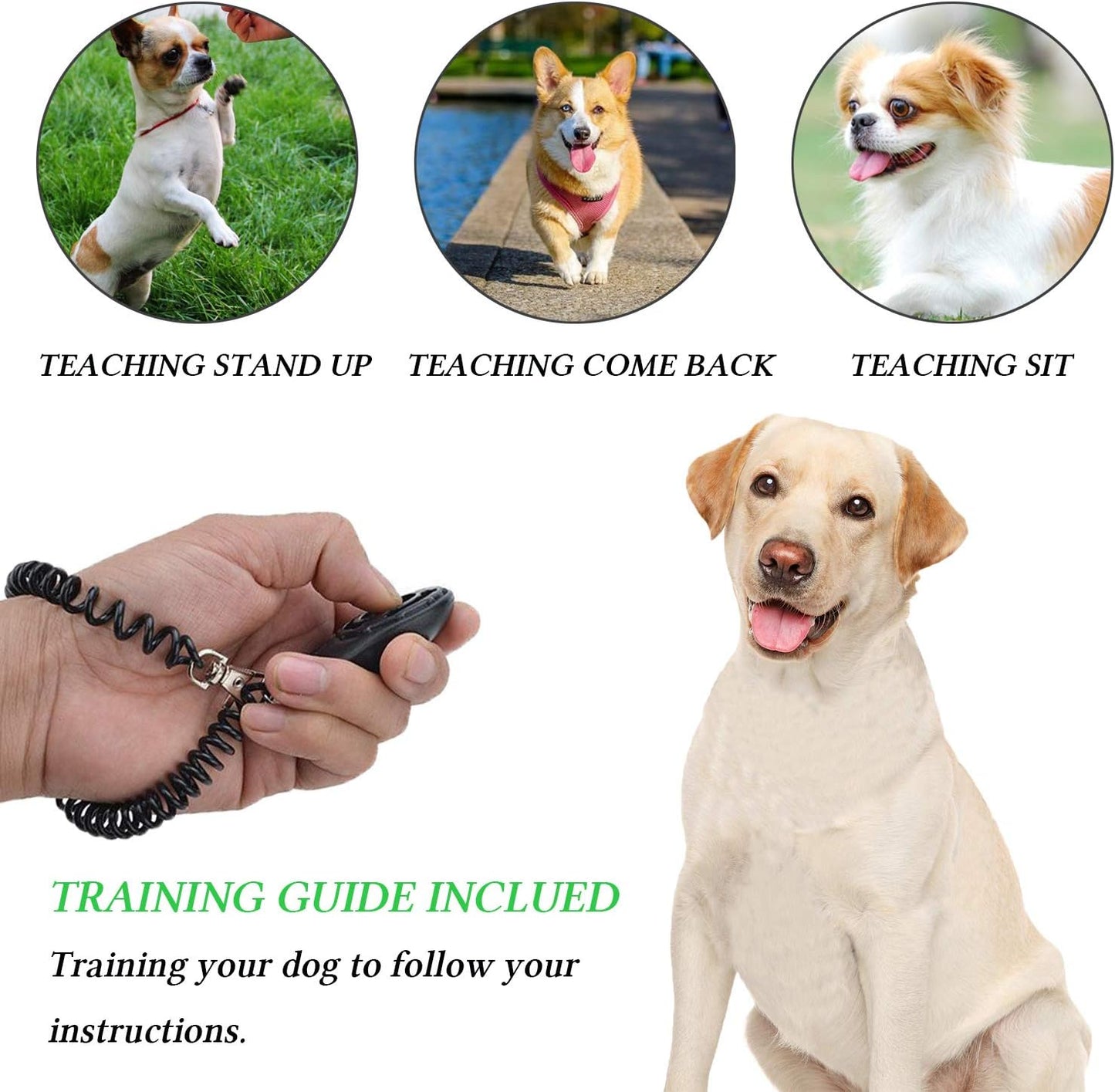 Ultimate 4-In-1 Dog Training Set - Perfect for First-Time Pet Owners: Treat Pouch, Whistle, Doorbells & Clicker (Black)