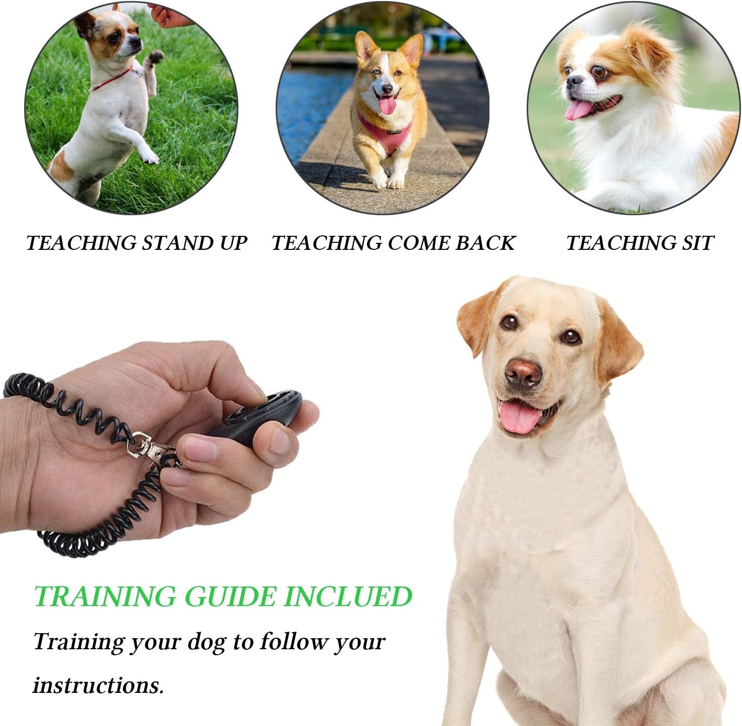 Ultimate 4-In-1 Dog Training Set - Perfect for First-Time Pet Owners: Treat Pouch, Whistle, Doorbells & Clicker (Black)