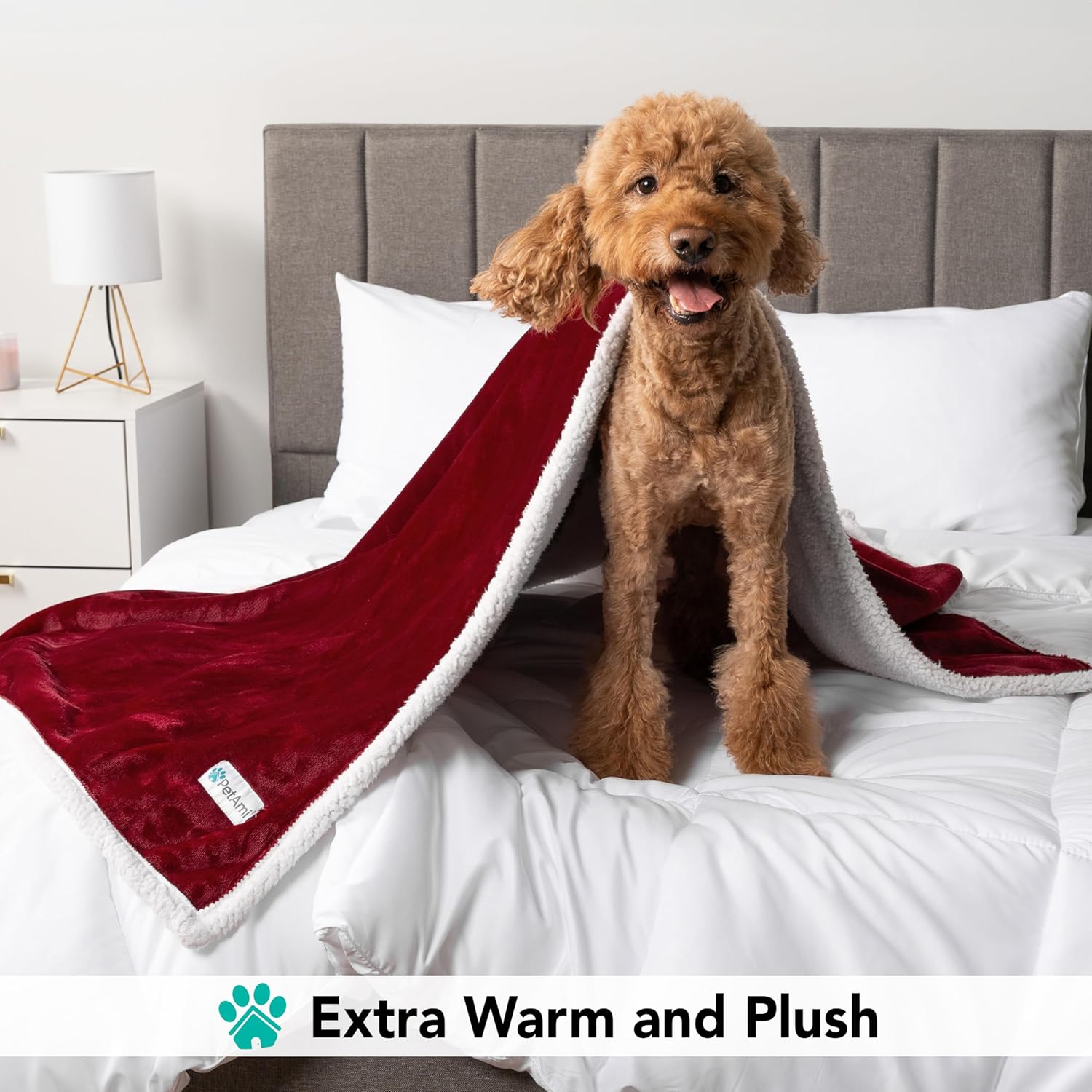 Cozy Reversible Dog Blanket for Small & Medium Pets - Soft Sherpa Fleece, Washable Couch Cover & Car Protector, 29x40 Maroon Red